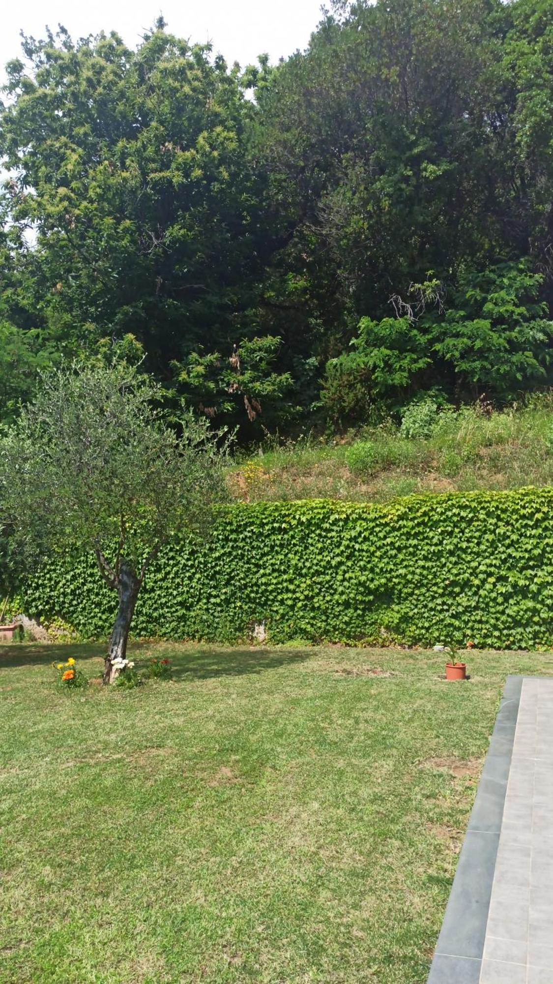 "Vento Di Levante Suite" Benvenuti In Collina Casarza Ligure Exterior photo